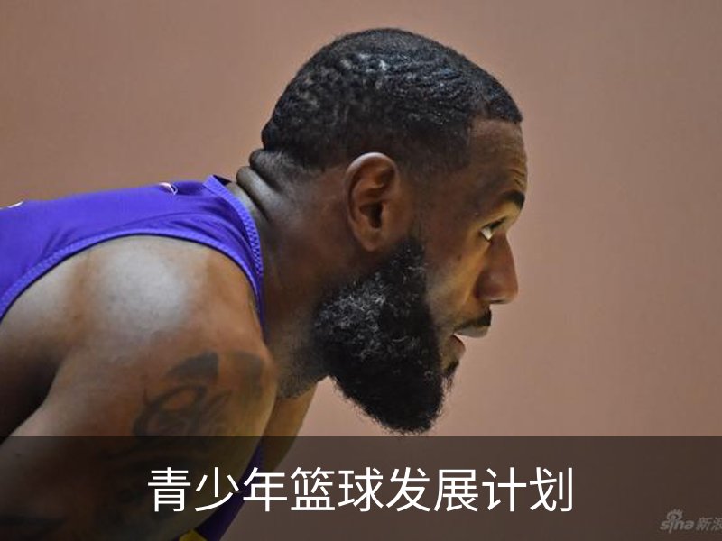 青少年篮球发展计划简介